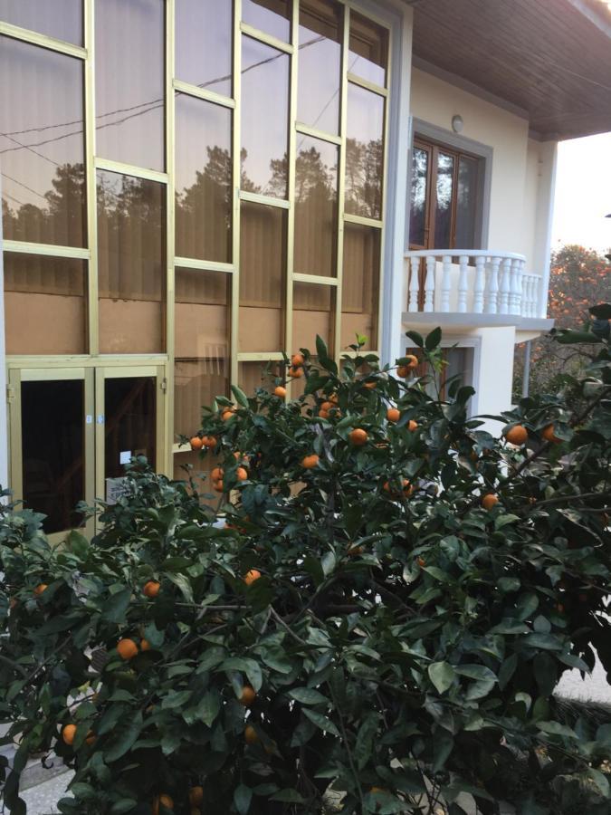 Hotel Good Luck Kutaisi Exterior photo